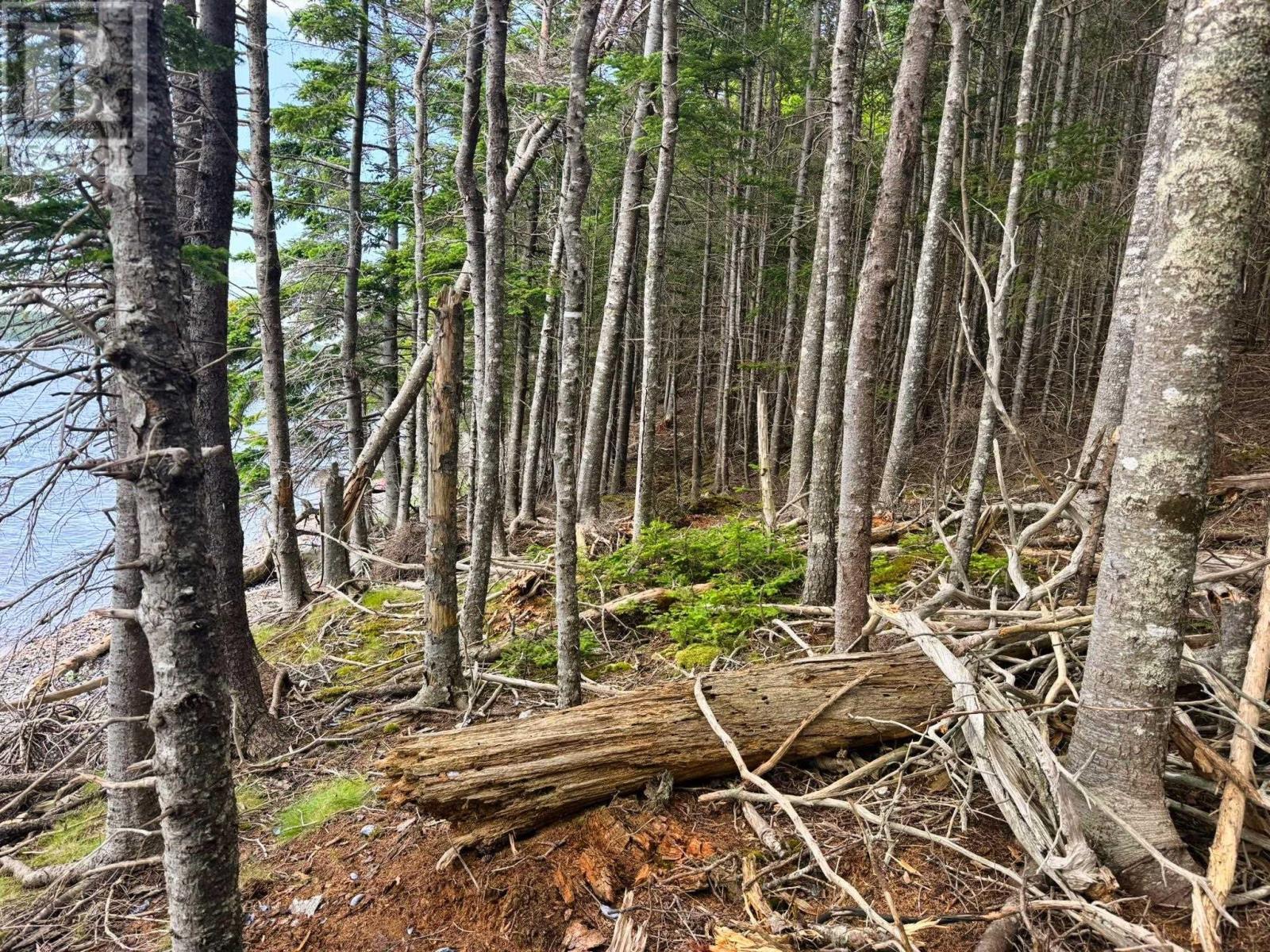 Property 7 of 10 of Lot 25-1R Corbetts Cove Road