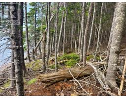 Lot 25-1r Corbetts Cove Road, Corbetts Cove, NS B0E3B0 Photo 7