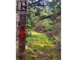 Lot 25-1r Corbetts Cove Road, Corbetts Cove, NS B0E3B0 Photo 9