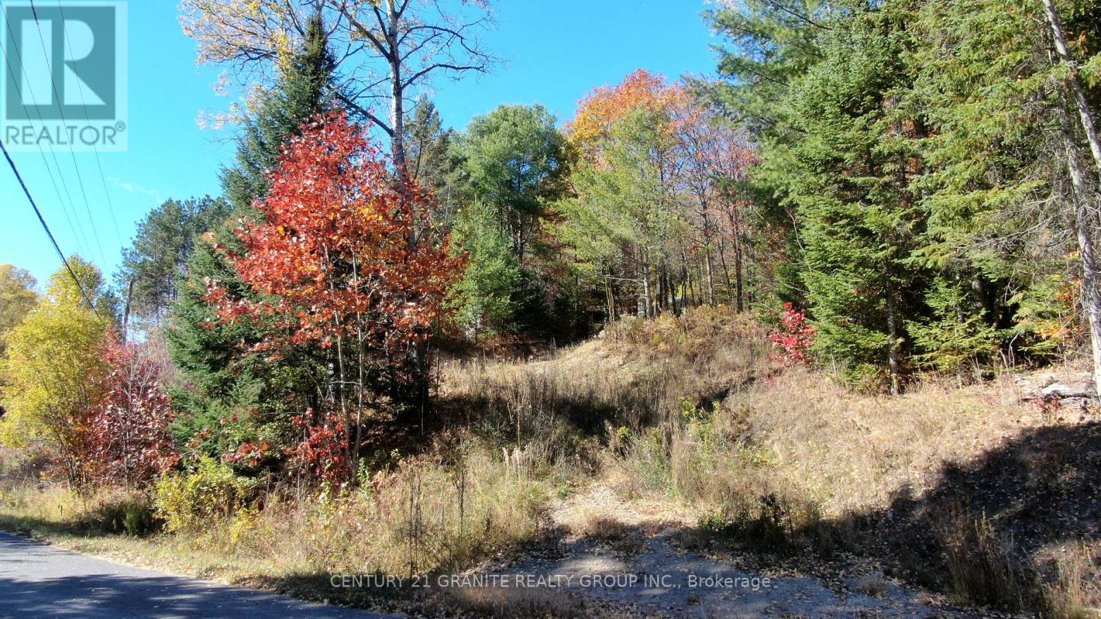 178 GAEBEL ROAD, Bancroft (Bancroft Ward) — photo 2