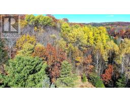 178 Gaebel Road, Bancroft, ON K0L1C0 Photo 10