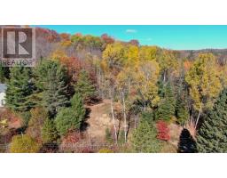 178 Gaebel Road, Bancroft, ON K0L1C0 Photo 12