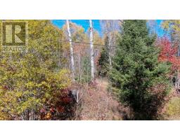 178 Gaebel Road, Bancroft, ON K0L1C0 Photo 13