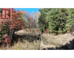 178 Gaebel Road, Bancroft, ON K0L1C0 Photo 14