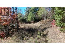 178 Gaebel Road, Bancroft, ON K0L1C0 Photo 17