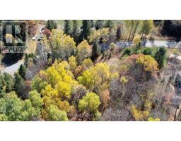 178 Gaebel Road, Bancroft, ON K0L1C0 Photo 19