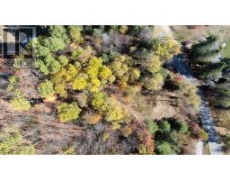 178 Gaebel Road, Bancroft, ON K0L1C0 Photo 22