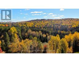 178 Gaebel Road, Bancroft, ON K0L1C0 Photo 28