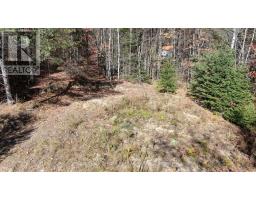 178 Gaebel Road, Bancroft, ON K0L1C0 Photo 34