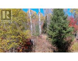 178 Gaebel Road, Bancroft, ON K0L1C0 Photo 36