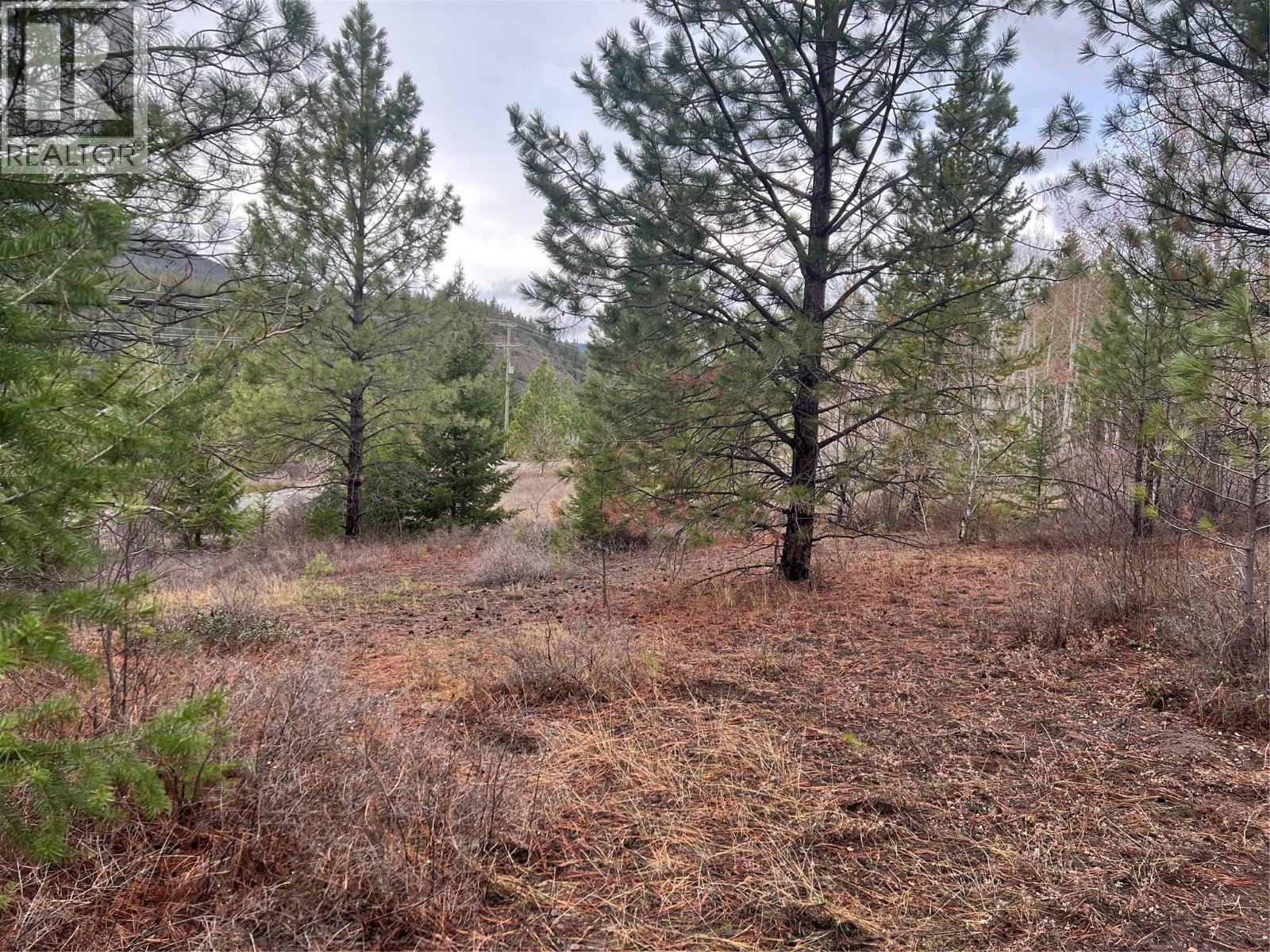 Lot 9 2457 COLDWATER Road, Merritt