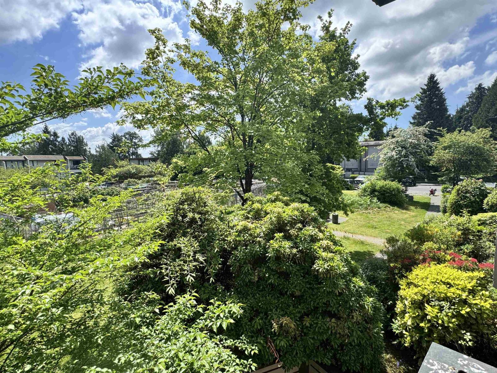 2 Bed, 1 Bath House for Sale in Surrey – 10582 HOLLY PARK LANE, Surrey – MLS# R3147798 - Image 37