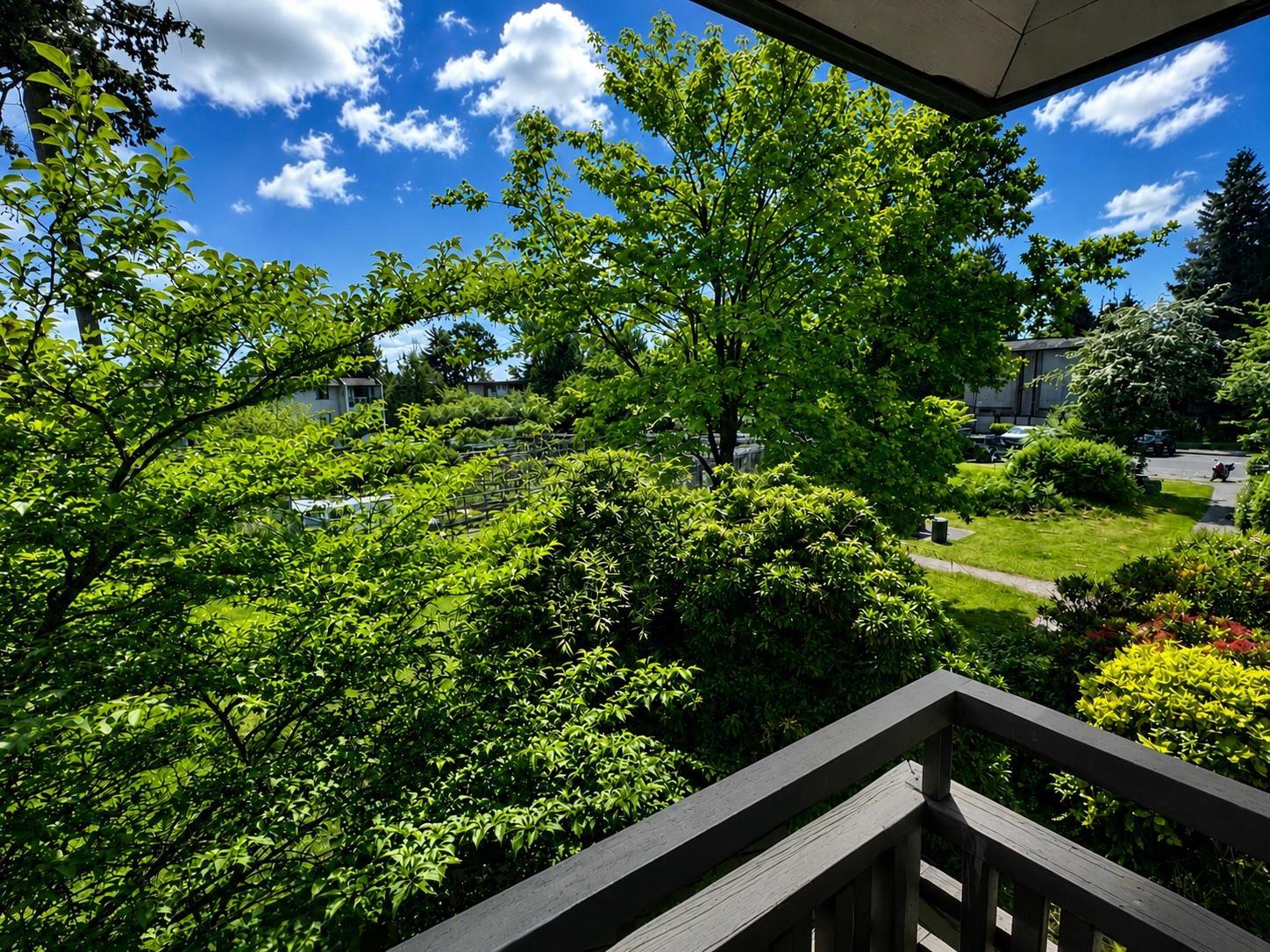 2 Bed, 1 Bath House for Sale in Surrey – 10582 HOLLY PARK LANE, Surrey – MLS# R3147798 - Image 35