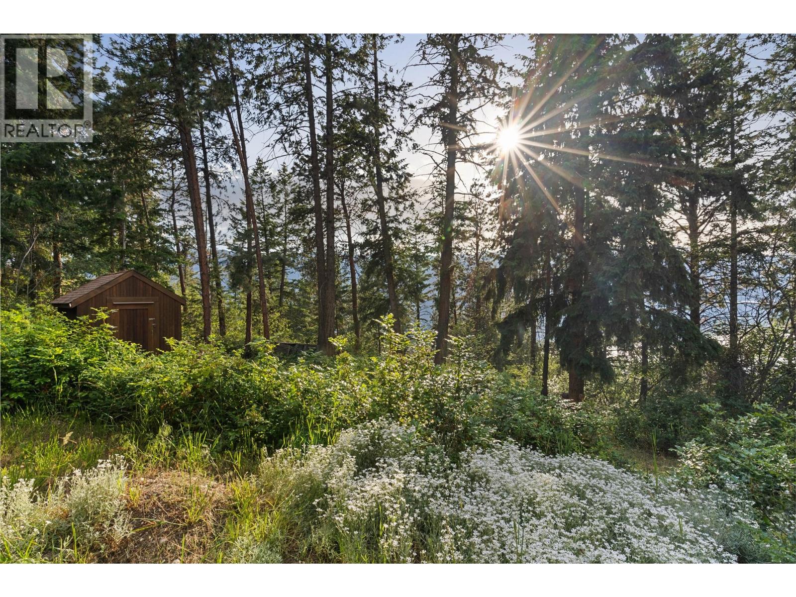 1279 Camp Road - 56