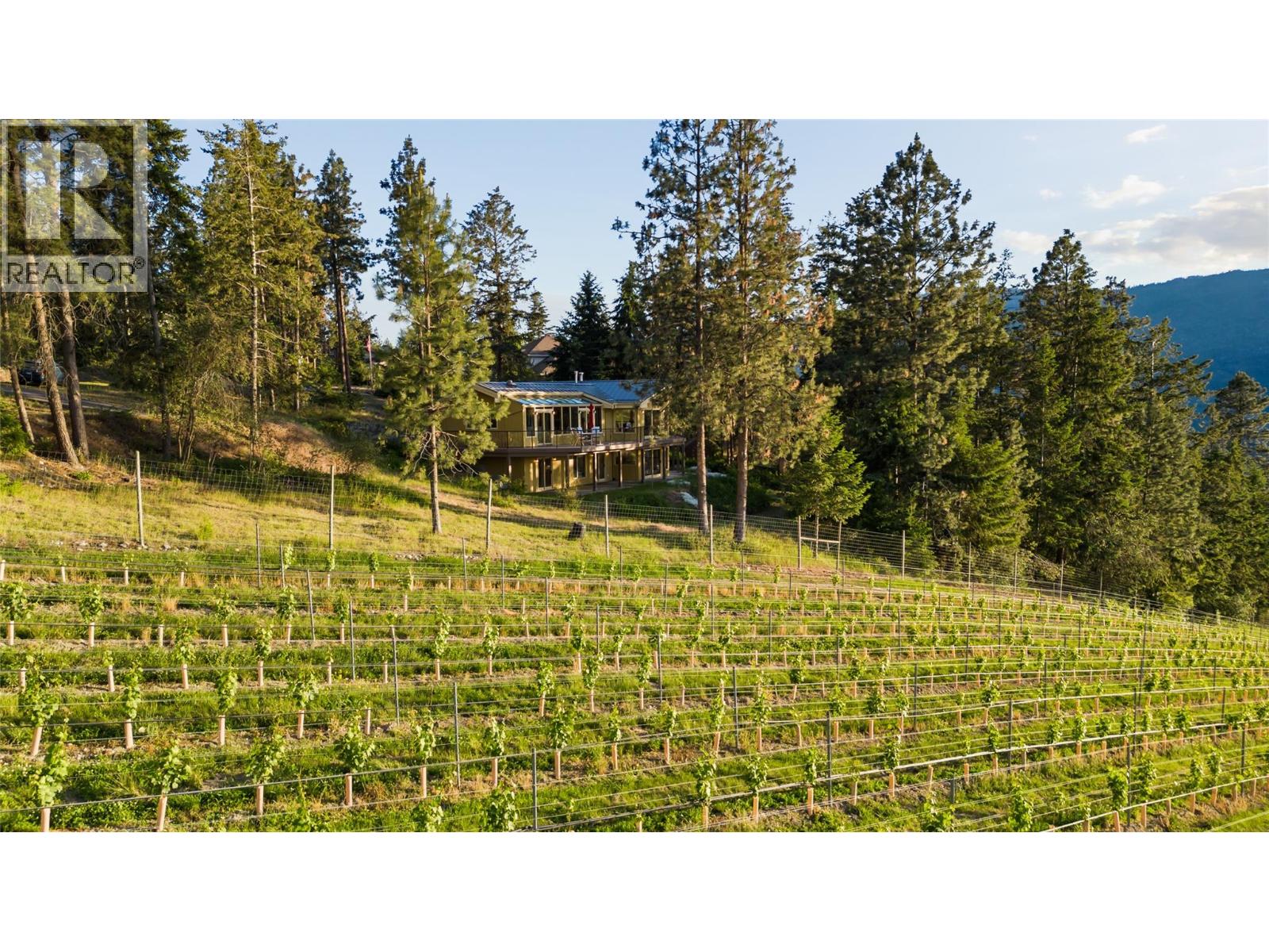 1279 Camp Road - 19