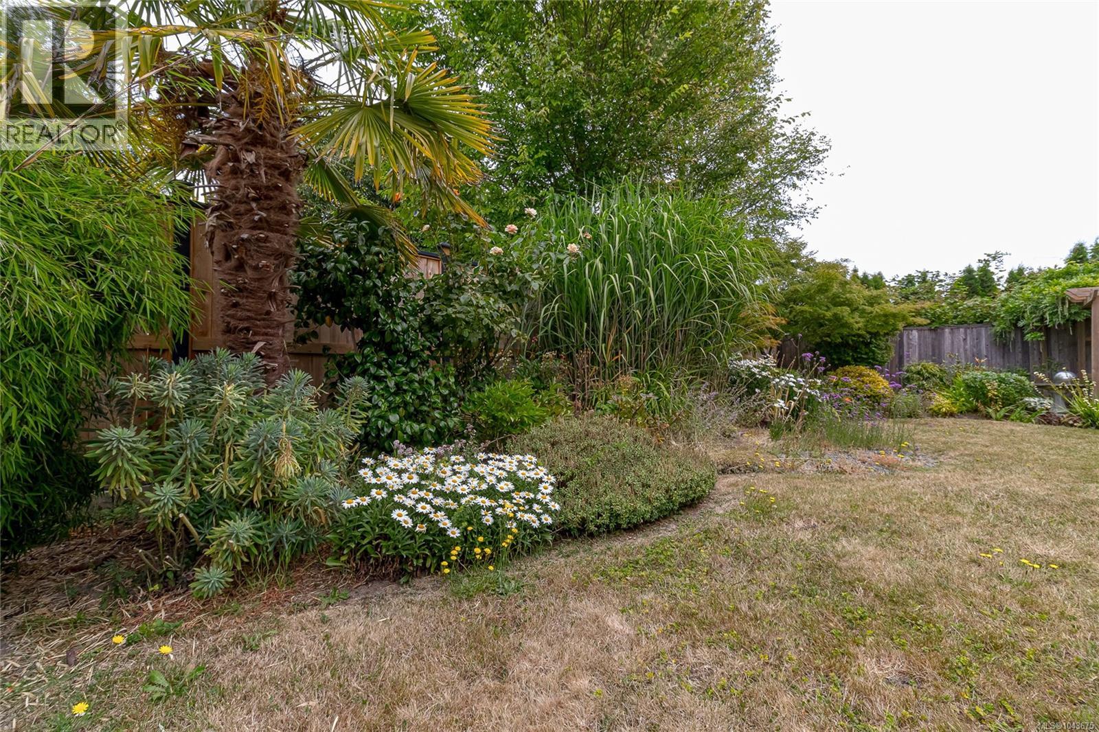10107 Third St - 33