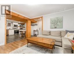 Lower Level - 243 Wellington Street E, Barrie, ON L4M2E4 Photo 10