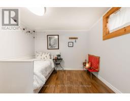 Lower Level - 243 Wellington Street E, Barrie, ON L4M2E4 Photo 13