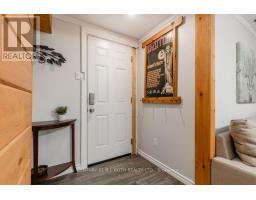 Lower Level - 243 Wellington Street E, Barrie, ON L4M2E4 Photo 6