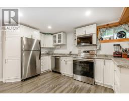 Lower Level - 243 Wellington Street E, Barrie, ON L4M2E4 Photo 7