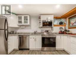 Lower Level - 243 Wellington Street E, Barrie, ON L4M2E4 Photo 8