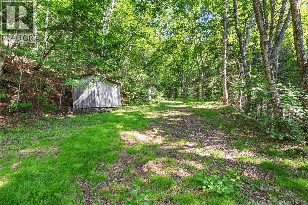 1403 Storeytown Road - 12
