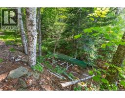 1403 Storeytown Road, Storeytown, NB E9C1V5 Photo 13