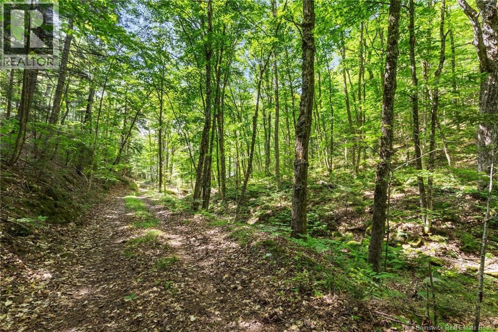 1403 Storeytown Road - 37