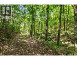 1403 Storeytown Road, Storeytown, NB E9C1V5 Photo 37