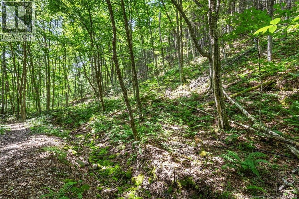 1403 Storeytown Road - 39