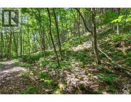 1403 Storeytown Road, Storeytown, NB E9C1V5 Photo 39