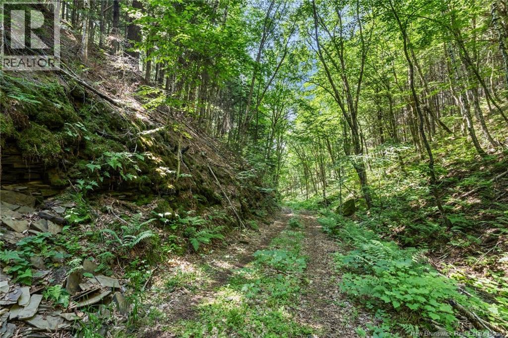1403 Storeytown Road - Image 40