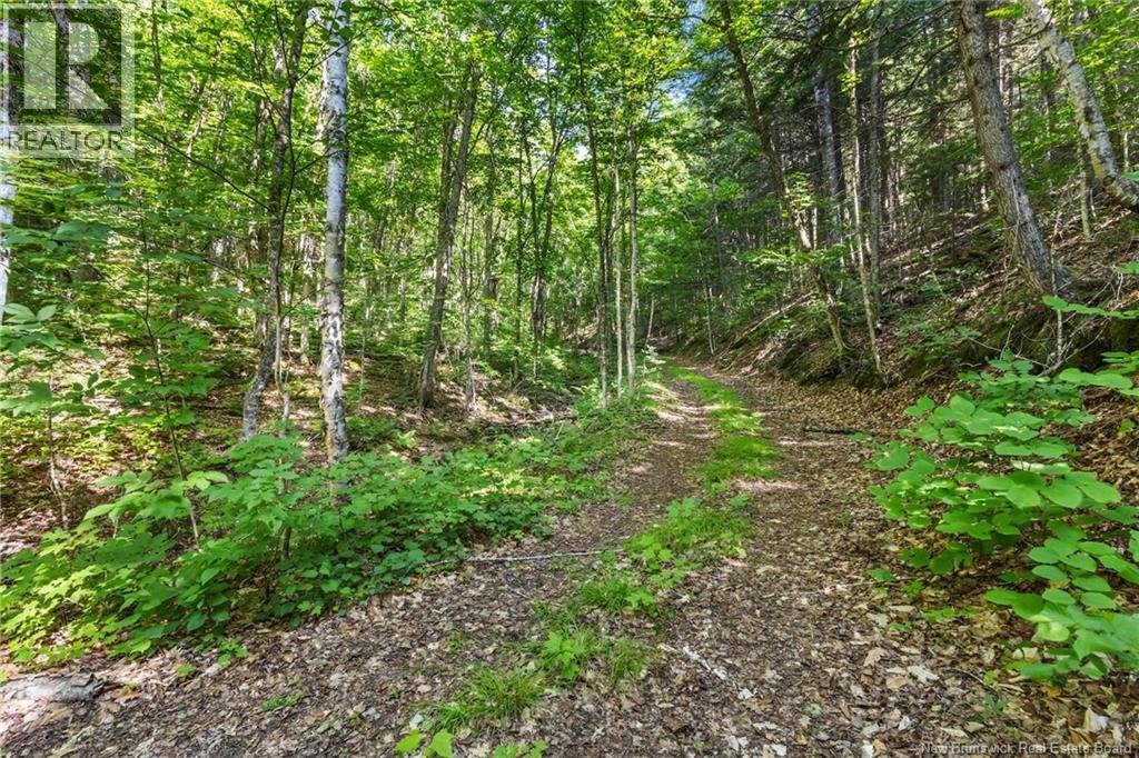 1403 Storeytown Road - 36