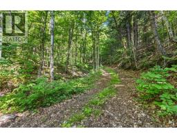1403 Storeytown Road, Storeytown, NB E9C1V5 Photo 36