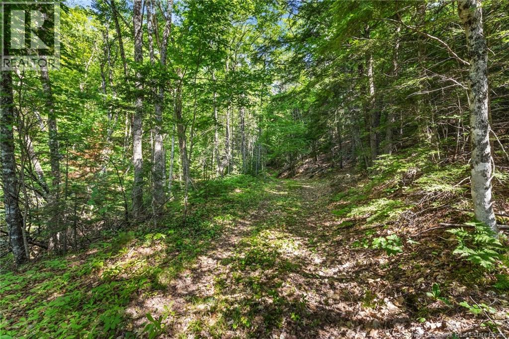 1403 Storeytown Road - 35