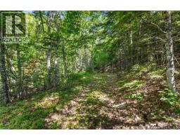 1403 Storeytown Road, Storeytown, NB E9C1V5 Photo 35