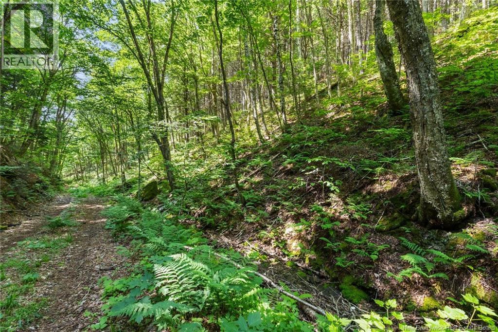1403 Storeytown Road - Image 41