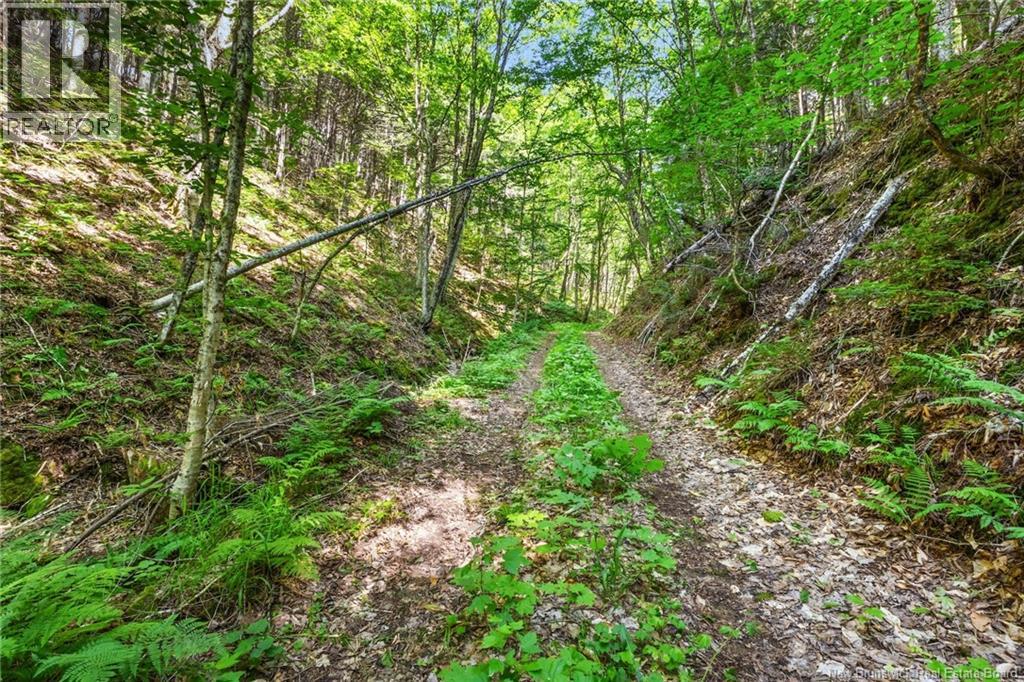 1403 Storeytown Road - Image 42