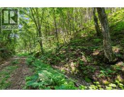 1403 Storeytown Road, Storeytown, NB E9C1V5 Photo 41
