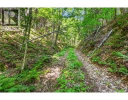 1403 Storeytown Road, Storeytown, NB E9C1V5 Photo 42
