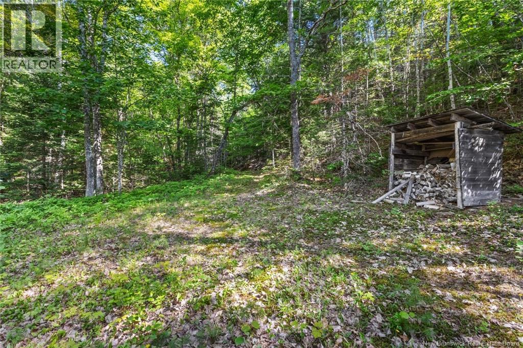 1403 Storeytown Road - 27