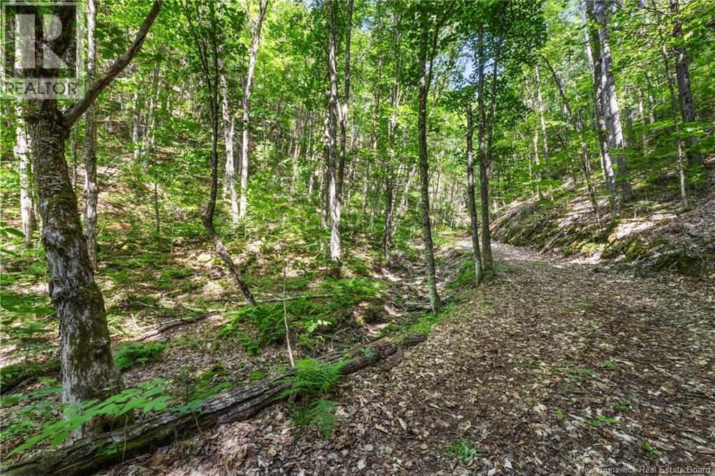 1403 Storeytown Road - Image 38