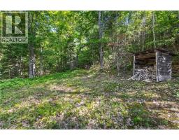 1403 Storeytown Road, Storeytown, NB E9C1V5 Photo 27