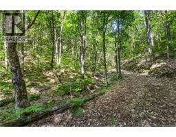 1403 Storeytown Road, Storeytown, NB E9C1V5 Photo 38