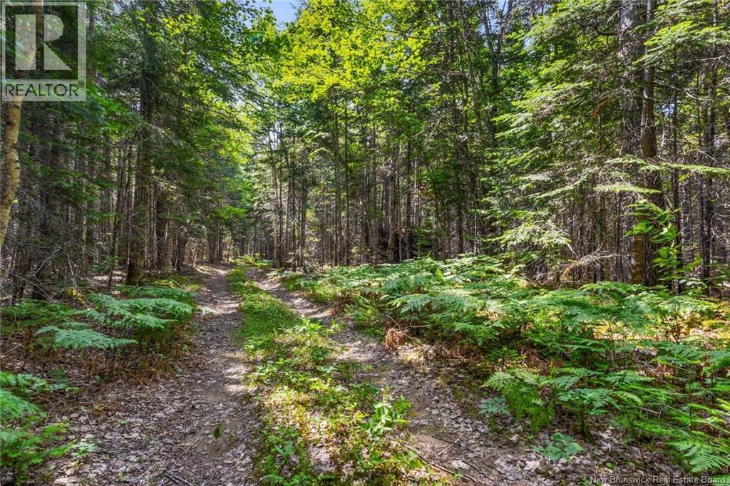 1403 Storeytown Road - Image 43
