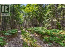 1403 Storeytown Road, Storeytown, NB E9C1V5 Photo 43