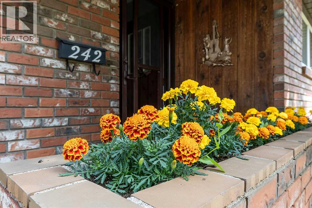 242 11th Street NE - 2
