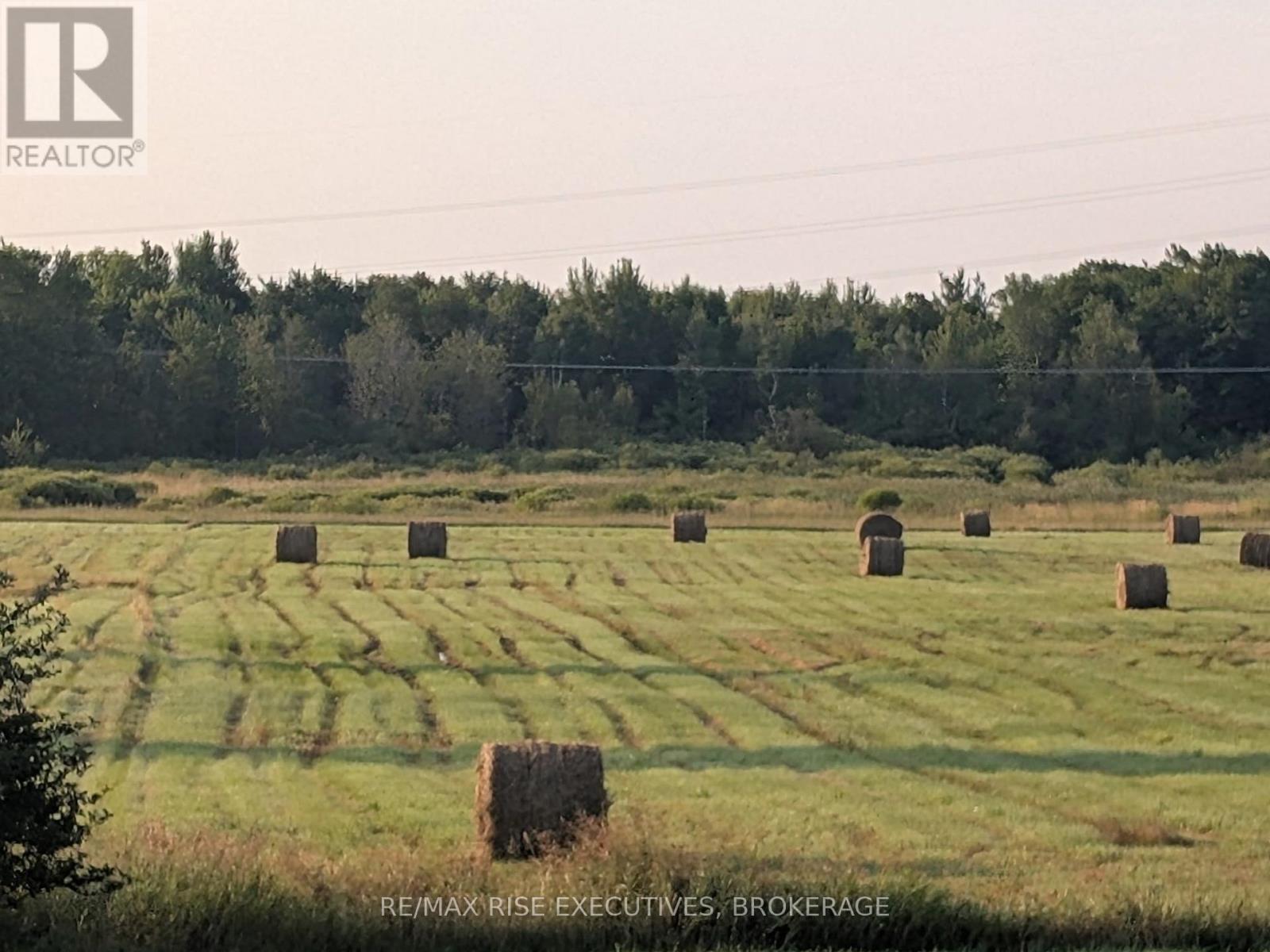 1058 WEEDMARK ROAD - Image 47