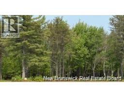Lot Wegesegum Road, Chipman, NB O0O0O0 Photo 10