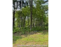 Lot Wegesegum Road, Chipman, NB O0O0O0 Photo 13